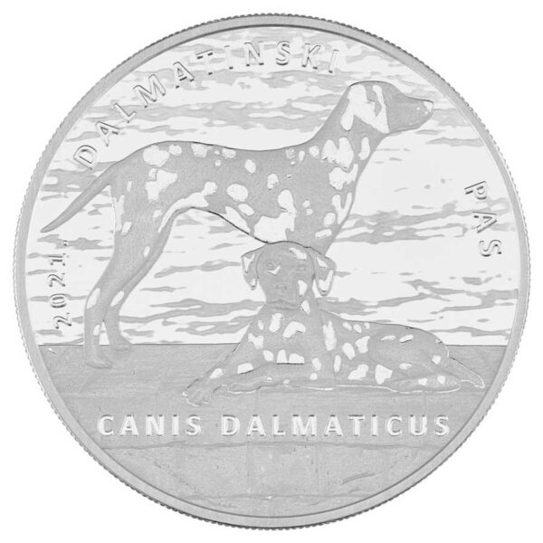 Srebrnjak Dalmatinski pas 10 kn 1 unca 31,103 grama