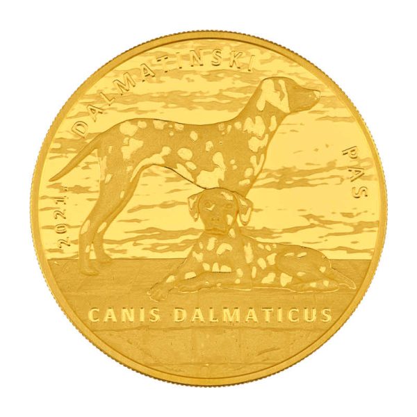 Zlatnik 100 kuna Dalmatinski pas
