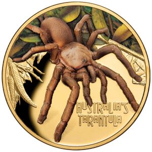 Kolorirani zlatnik Tarantula pauk iz serije zlatnika Opasne životinje, 1oz, 31.103g, Niue, Novi Zeland