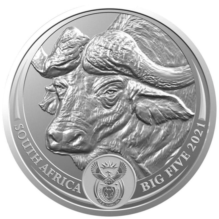 Srebrnjak Big Five 1 Bizon, 1oz, Južna Afrika, 2021, prednja strana, Gospodari životinjskog svijeta