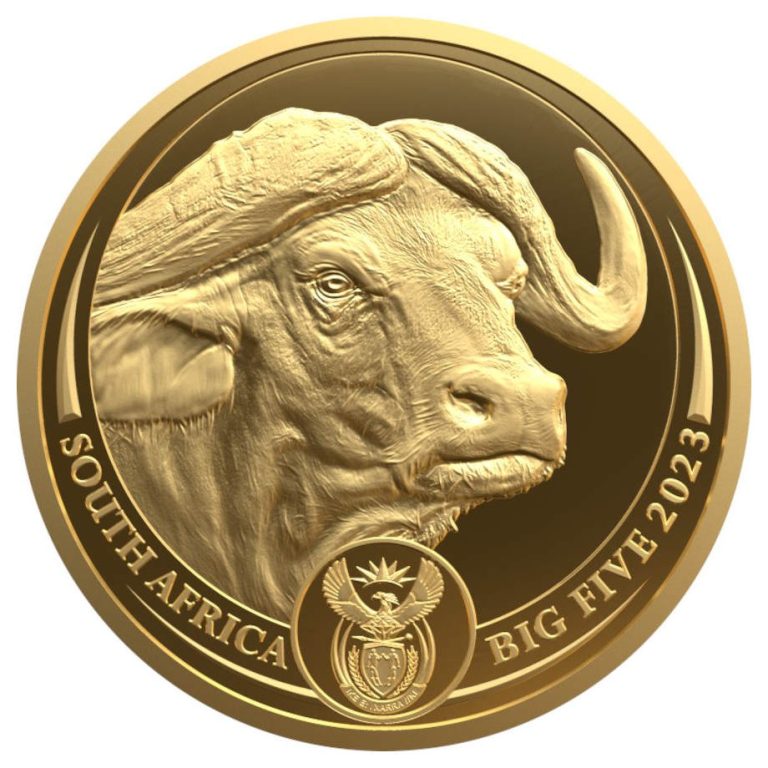 Zlatnik BigFive2 Bizon 1oz Numizmatika Južna Afrika 2023, prednja strana, Gospodari životinjskog svijeta