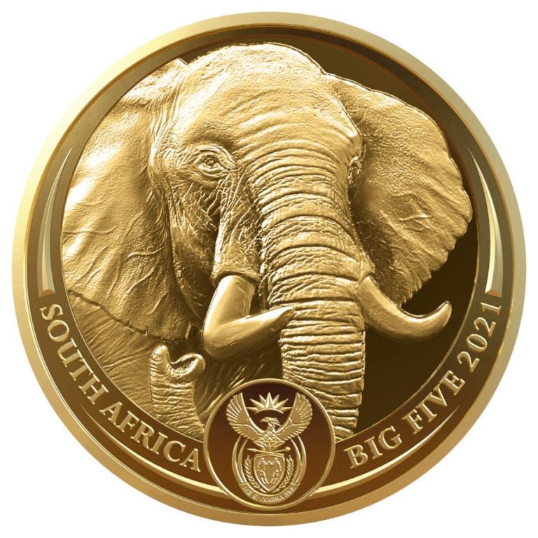 Zlatnik BigFive2 Slon 1oz Numizmatika Južna Afrika 2021, prednja strana, Gospodari životinjskog svijeta