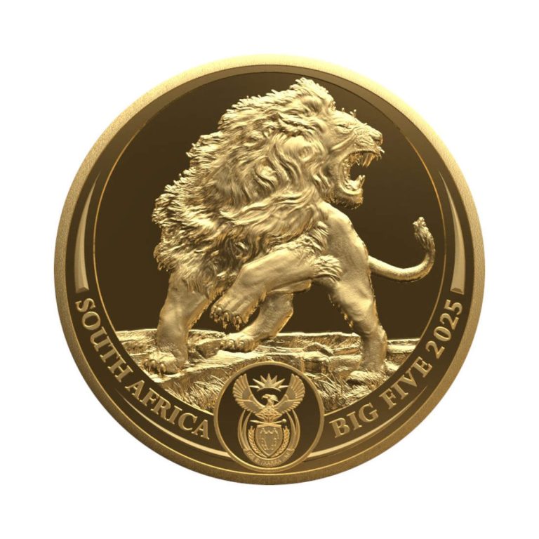 Zlatnik BigFive3 Lav 1/4oz Numizmatika Južna Afrika 2025, prednja strana, Gospodari životinjskog svijeta